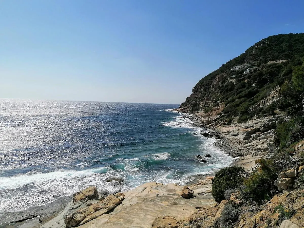 Villa Dali La Garde 260M2 Jacuzzi, Sauna, Piscine, Jardin 500M2, 5 Minutes De La Plage